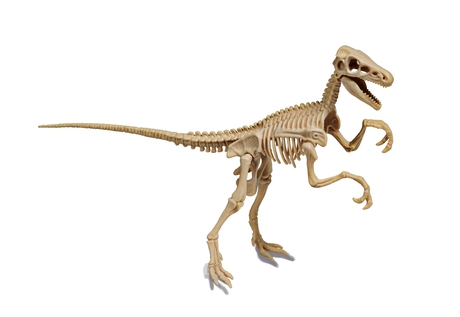 Jurassic World - Velociraptor Dig Kit - Clementoni