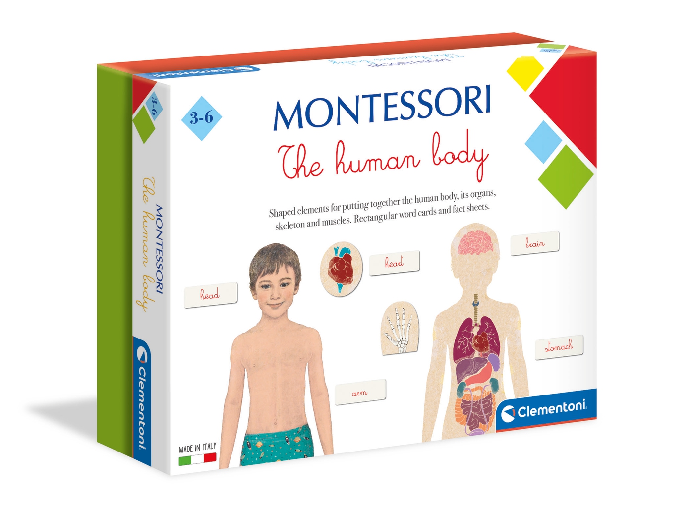 Montessori Human Body Printables